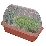 Healing Garden Windowsill Greenhouse