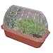 Search : Healing Garden Windowsill Greenhouse