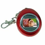 1.1" LCD USB Digital Photo/Picture Frame Key Chain Red Egg Style, Store up to 196 Photos