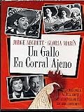 Un Gallo En Corral Ajeno
