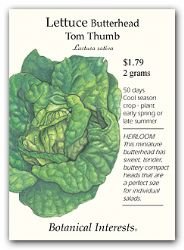 Lettuce Butterhead Tom Thumb Seed