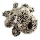 Kong Company Dr. Noys Frost Dog Toy Medium - NG2