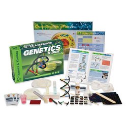 Biology Genetics and DNA by Thames & Kosmos
