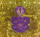 Bardo Pond - Tantric Porno Lyrics - Zortam Music