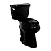 Kohler K-3432-UR-7 Black Wellworth Wellworth elongated toilet with right-hand trip lever and Insulin