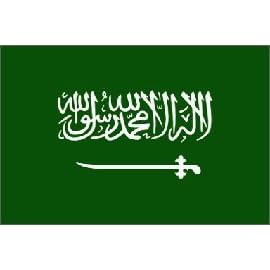 Saudi Arabia Flag Polyester 3 ft. x 5 ft.