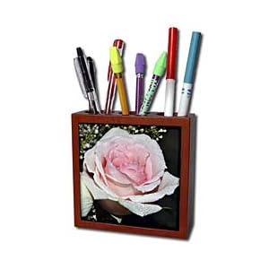 WhiteOak Photography Rose Prints - Rose Print - Tile Pen Holders-5 inch tile pen holder