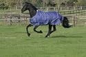 Mark Todd Mediumweight Turnout Rug-5'9"