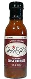 Texas Sassy Salsa Marinade