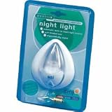 Night Light