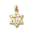 14k Solid Polished Chai in Star of David Pendant