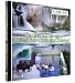 The Allure of Yellowstone National Park - Fascinating Waterways Cd