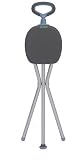Juvo Products CS101 Travel Seat & Cane, Gray/Blue