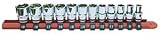 10 Piece, 1/4 Drive SAE Socket Rail - 105, by CalVan Tools - CalVan Tools - 105