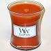 313ZiHAtQHL. SL75  woodwick candles pumpkin