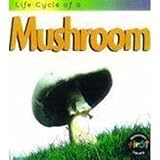 Life cycle of a mushroom