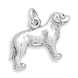Labrador Dog Charm