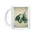 Sage Photo Mugs