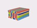 Equipstore - Boite de Rangement - Ligne Multicolore - 30cm