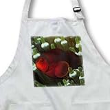 Spine-Cheek Anemonefish in Bulb-Tenacle Sea Anemone.Solomon Islands - Medium Length Apron With Pouch Pockets 22w X 24l