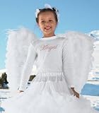 snow angel wings