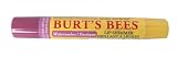 Burts Bees Watermelon Lip Shimmer