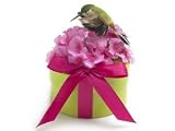 Bloembox Habitat Hummingbird Garden