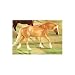 BREYER CLASSICS CHESTNUT HAFLINGER