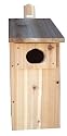 Stovall 5H Duck Box