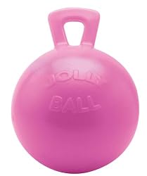 Jolly Pet 10" Horse Jolly Ball Bubble Gum Scented