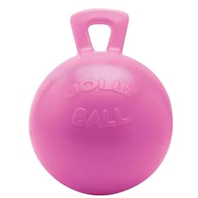  Jolly Pet 10 inch Horse Jolly Ball Bubble Gum Scented