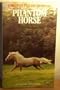 Phantom horse (An Armada pony book)