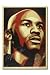 Michael Jordan Shepard Fairey (Artist) Dual-Autographed Hall of Fame Portrait 24x36 Silkscreen Print (UDA)
