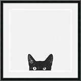 Curiosity Framed Art Print by Jon Bertelli