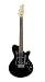 Godin SD 22 Electric Guitar (Black Pearl RN)