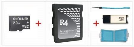 Childrens Toyshop  Electronics : Nintendo DS Lite R4 Revolution (Version 2) 2GB Micro SD Memory Card