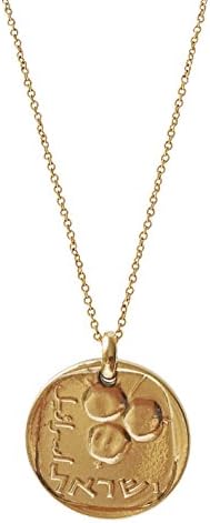 Gold Plated Hammered Israel 5 Agorot Pomegranate Coin Necklace on Cable Chain (24 Inches)