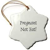 Pregnant Not Fat - 3 Inch Snowflake Porcelain Ornament