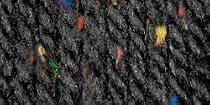 Classic Merino Wool Yarn Tweeds-Black Tweed