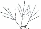 Neo Neon LED-CKT-TK-76CM-12V-W/W