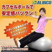 ＡＬＩＮＣＯエクササイズカプセルボール・型がカプセルなので安定感が抜群!・EXG026（RC：1000507749）