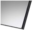 Clear Polycarbonate Sheet .250 Thick 12 x 24