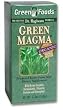 Green Magma by Green Foods 5.3 oz.