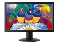 20W LCD 5ms Analogue 16:9