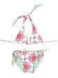 Vix - Vintage Rose Bikini