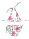 Vix - Vintage Rose Bikini