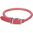 Petco Rolled Leather 3/8" Dog Collar in Pink Petco Rolled Leather 3/8" Dog Collar in Pink