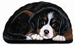 Bernese Mountain Dog Puppy Dog Pupperweight Paperweight Pupper Weight