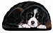 Bernese Mountain Dog Puppy Dog Pupperweight Paperweight Pupper Weight