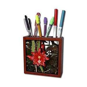 WhiteOak Photography Floral Prints Bright Red Flower from a cactus Tile Pen Holders-5 inch tile pen holder